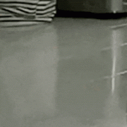 <strong>大夫版ChatGPT估值120亿美元</strong>